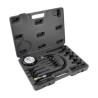 COMPRESIMETRO 0 - 100PSI DISEL X 19 PZS