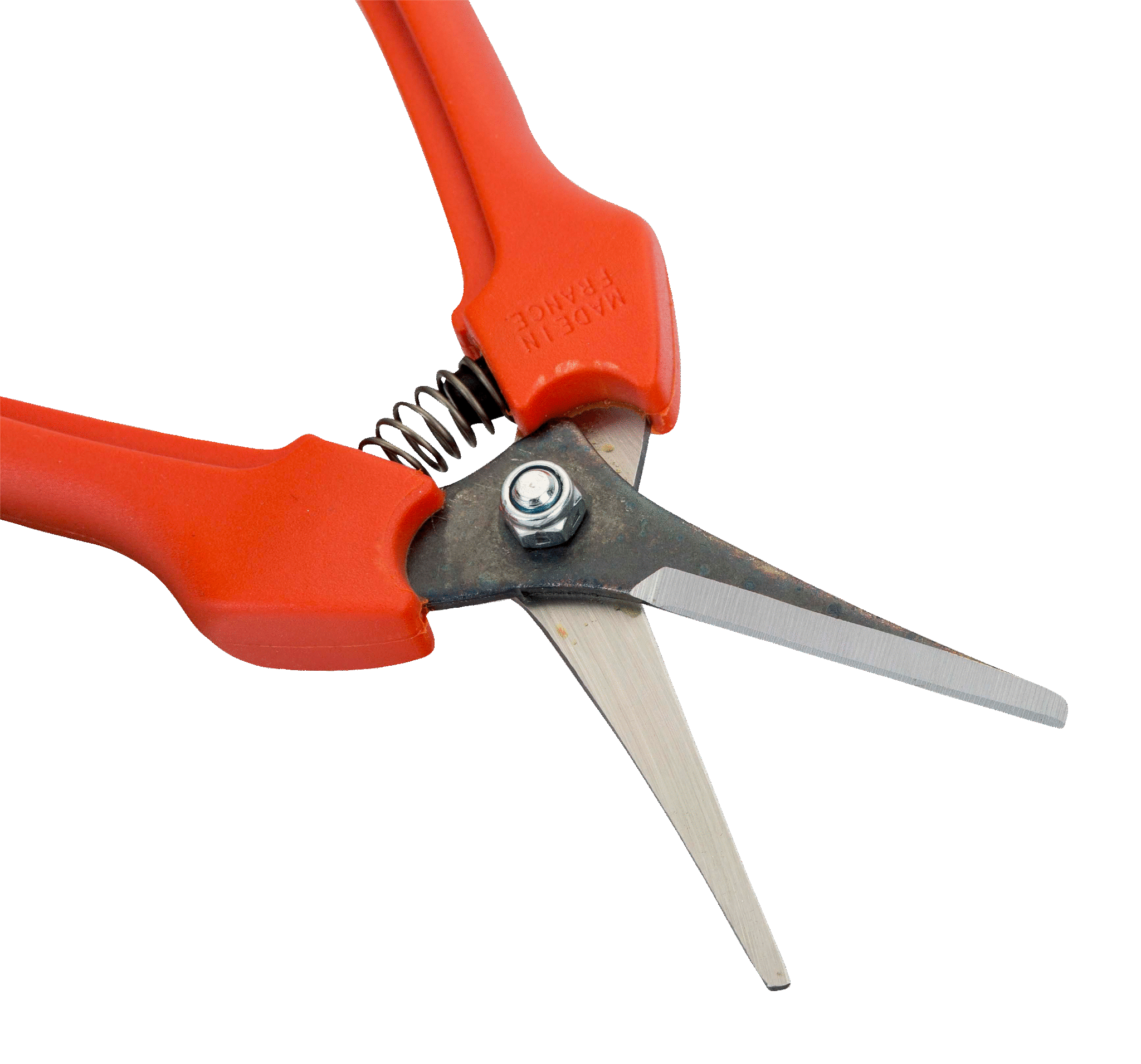 TIJERA DE COSECHA PTA LARGA