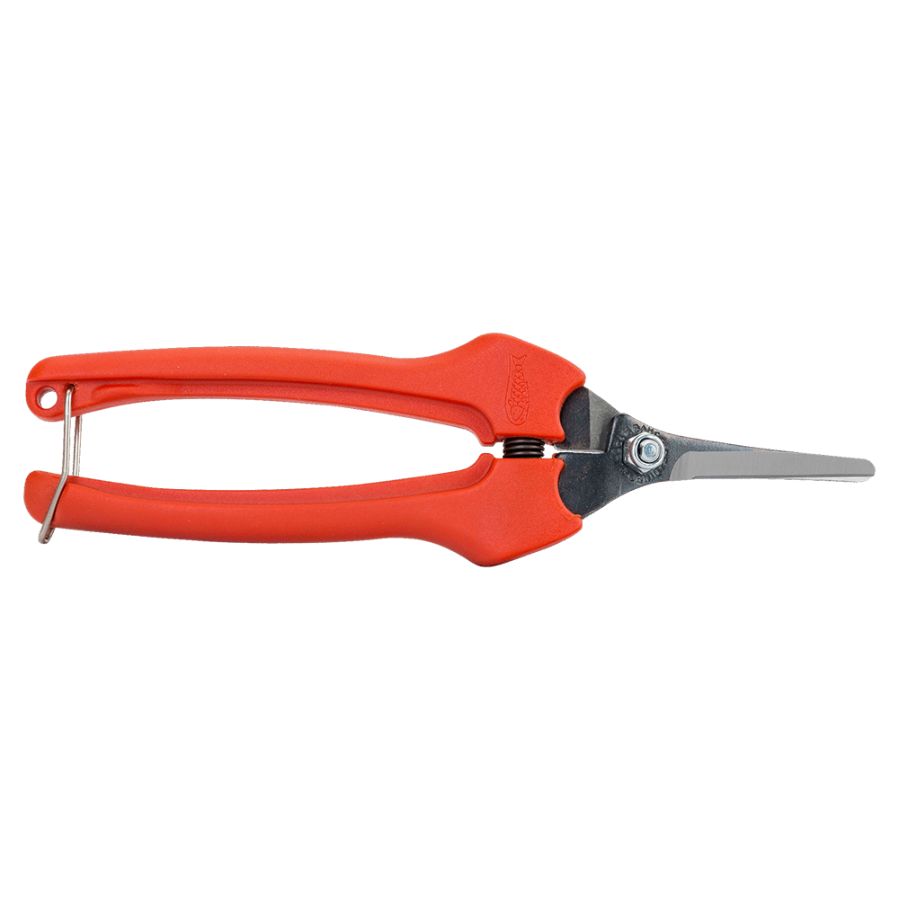 TIJERA DE COSECHA PTA LARGA CURVA