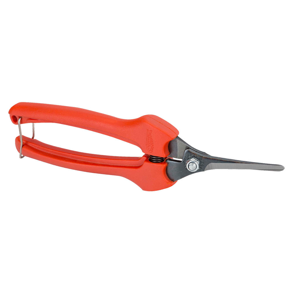 TIJERA DE COSECHA PTA LARGA CURVA