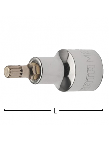 LLAVE COPA CORTA PLURIDENTADA CTE 1/2 X M16